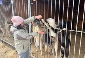 Le refuge Sirius en Ukraine : un appel à l&rsquo;aide