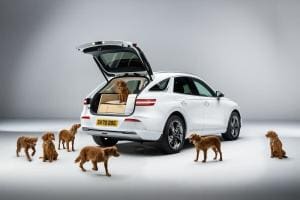 Le SUV Idéal pour chiens : Genesis X Dog