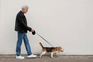 A Londres, un promeneur de chien découvre un nouveau-né abandonné