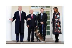 Insultes canines : Trump et sa rhétorique