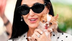 Pilaf, le chien de Demi Moore conquiert Cannes