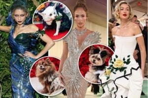 Pet Gala 2024, glamour et haute couture canine au Met de NY