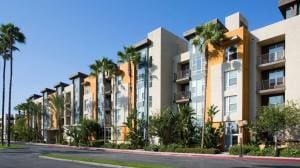 Une loi qui facilite la location avec animaux en Californie