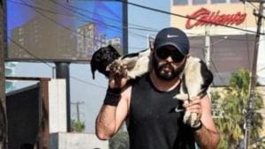 Controverse autour d’un marathonien lors de la course de Tijuana et d’un chien blessé