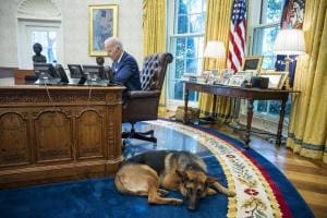 Biden était présent lors des attaques de son chien Commander