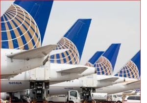 Débat sur les chiens d’assistance en avion
