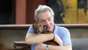 L’amour inconditionnel d’Alain Delon pour ses chiens