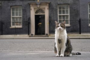 Larry, le chat de Downing street : star inattendue