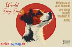 Journée internationale du chien : 26 août