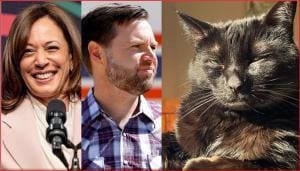 Les « Femmes à chats » : une vie pleine de joie