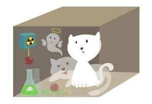 Le chat de Schrödinger : une icône populaire