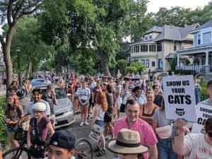 Une promenade canine à Minneapolis : une tradition