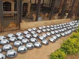 Refuge en République Démocratique du Congo