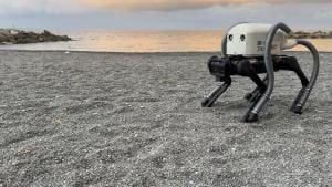 VERO : le robot chien qui nettoie les plages