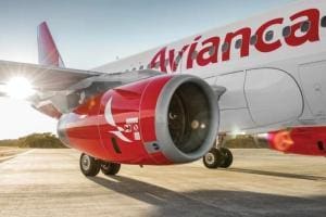 Incident Avianca : chien en soute pendant 5 heures