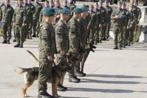 Pologne: cérémonie en hommage à ses chiens militaires