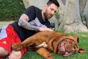 Le chien de Messi : Le Dogue de Bordeaux et son coût