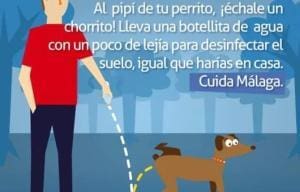 Rincón de la Victoria : lutte contre l’urine de chien