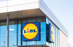 Chien-guide refusé : Lidl condamné à 2000 euros