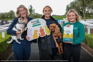 Dog Royal : Le Festival Canin de Down Royal