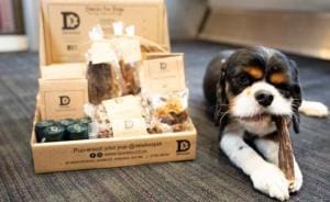 Premier menu de friandises pour chiens à bord des trains