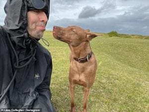 Liam Gallagher et son chien Buttons