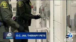 Des chiens pour aider les détenus