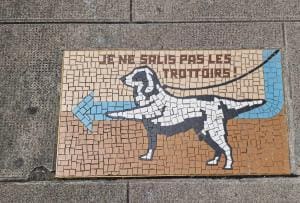 L’histoire des mosaïques de chiens à Genève
