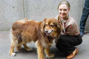 Amanda Seyfried raconte l’impact de son chien Finn