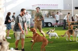 Dog PPL: Un club exclusif pour chiens à New York