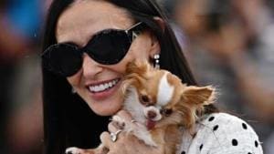 Les chiens de Demi Moore et Drew Barrymore