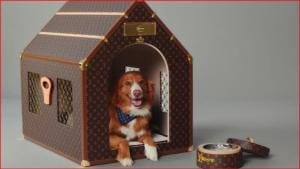 Louis Vuitton : le luxe pour chiens