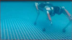 Les chiens robots : de nouveaux alliés sous-marins