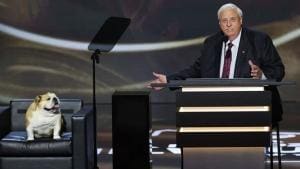 Babydog : Le chien emblématique de Jim Justice au cœur d’un malentendu