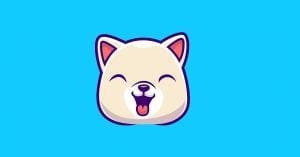 Kishu Inu : un jeton mème avec de grandes ambitions