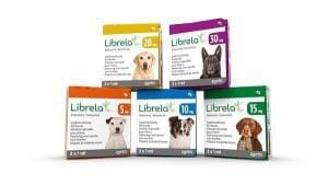 Le médicament pour chiens : analgésiques et risques