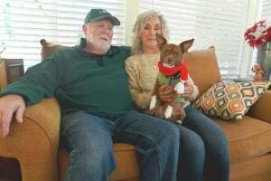 Retrouver un chien perdu : un réseau d’entraide au Connecticut