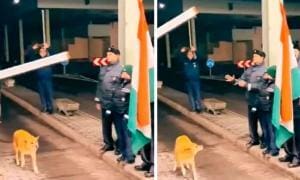 Schengen: Un chien symbole d’unité au passage frontalier