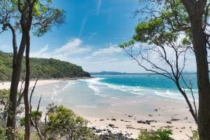 Australie : Chiens et nature, trouver le bon équilibre
