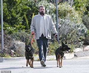 Ben Affleck et ses chiens : une nouvelle compagnie