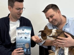 Des croquettes innovantes pour chiens