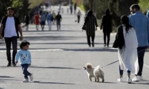 En Iran, les chiens de compagnie sous pression