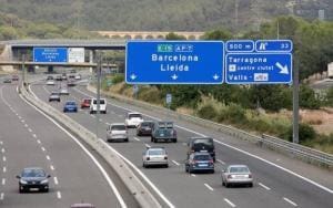 Chien abattu sur l’autoroute : forte émotion