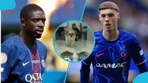 Un chien prédit Chelsea vainqueur de la finale