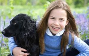 Chiens de race ou chiens de refuge ?