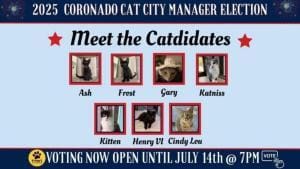 Voter pour le futur maire félin de Coronado